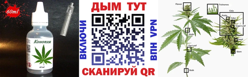 Cannafood конопля  mega зеркало  Сосновоборск 