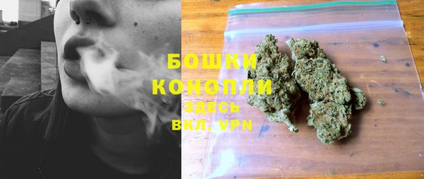 МДПВ Краснослободск