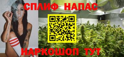 СК Гусев