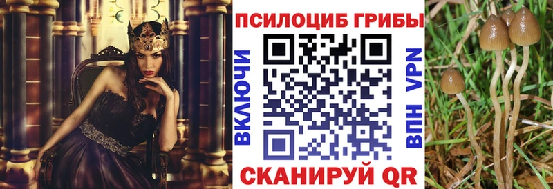 как найти закладки  Сосновоборск  Галлюциногенные грибы ЛСД 
