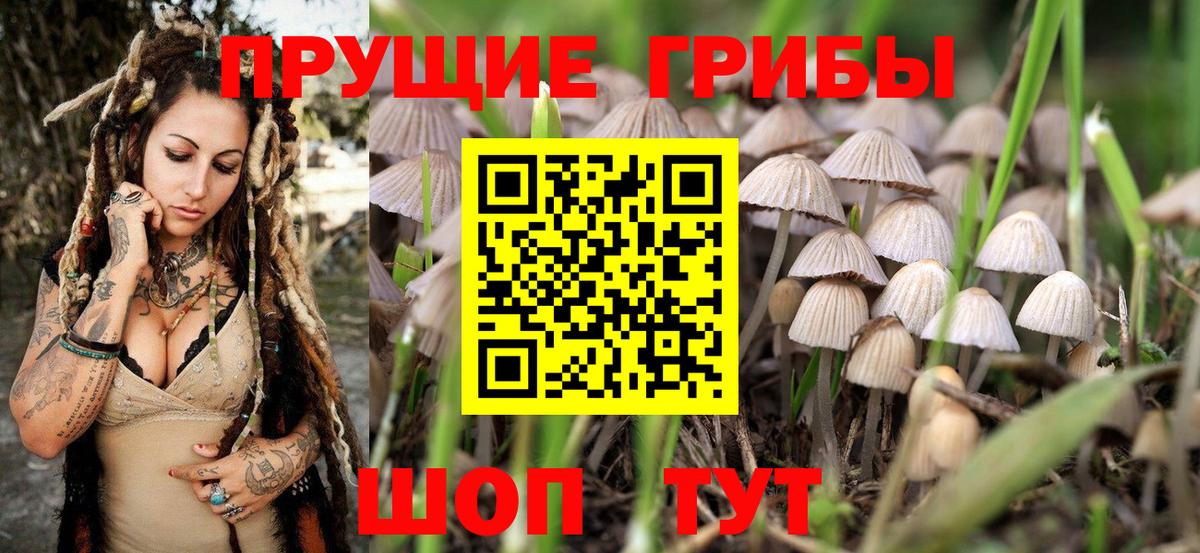Псилоцибиновые грибы ЛСД Сосновоборск