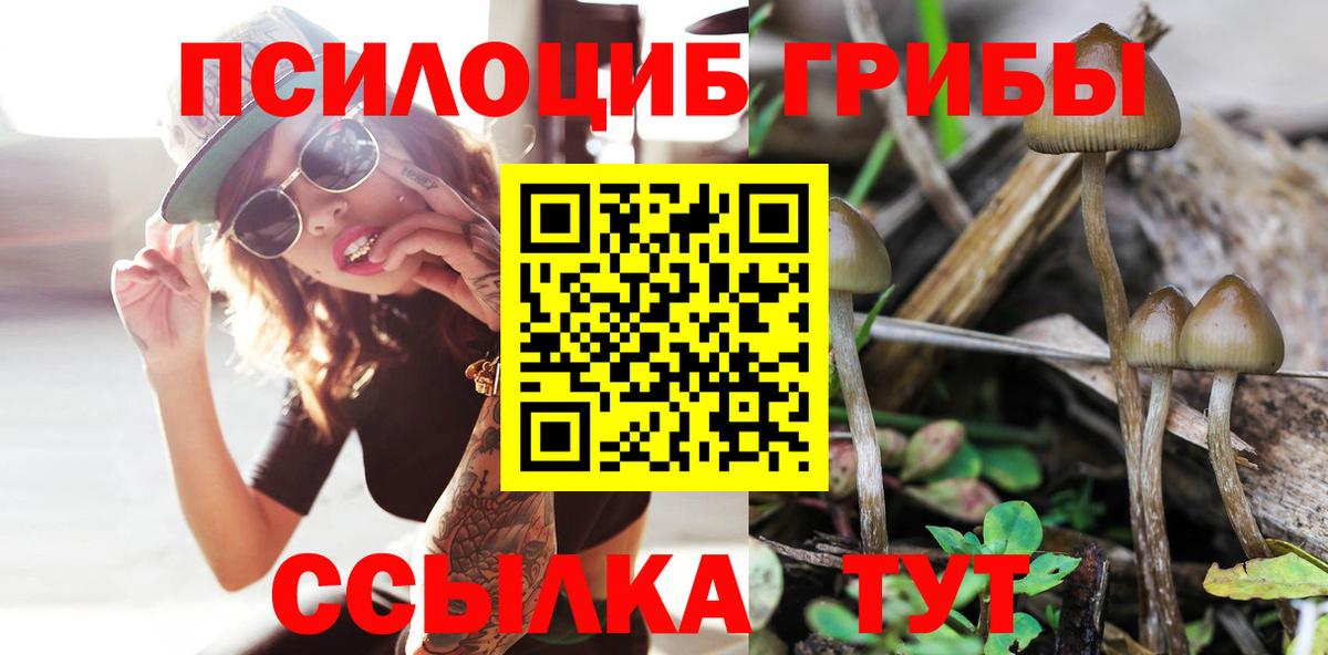 Галлюциногенные грибы прущие грибы  Вход с VPN  Псилоцибиновые грибы мухоморы  Сосновоборск 