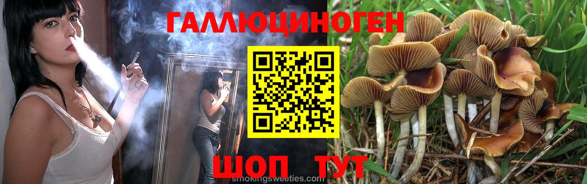 Псилоцибиновые грибы Magic Shrooms  купить   Сосновоборск  Галлюциногенные грибы MAGIC MUSHROOMS 
