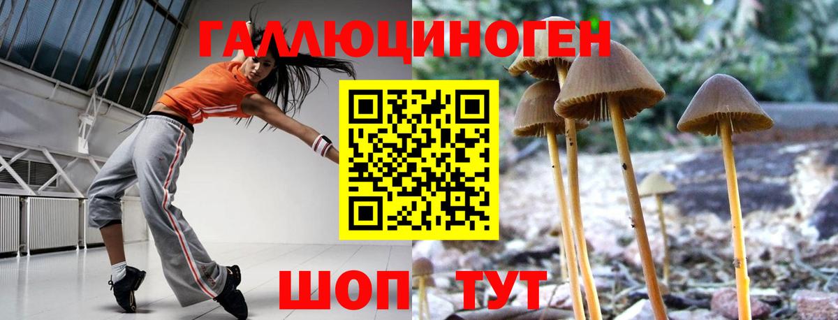 Псилоцибиновые грибы мицелий Сосновоборск
