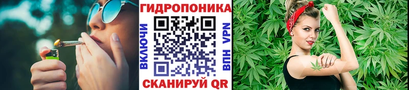 Каннабис SATIVA & INDICA  Сосновоборск 