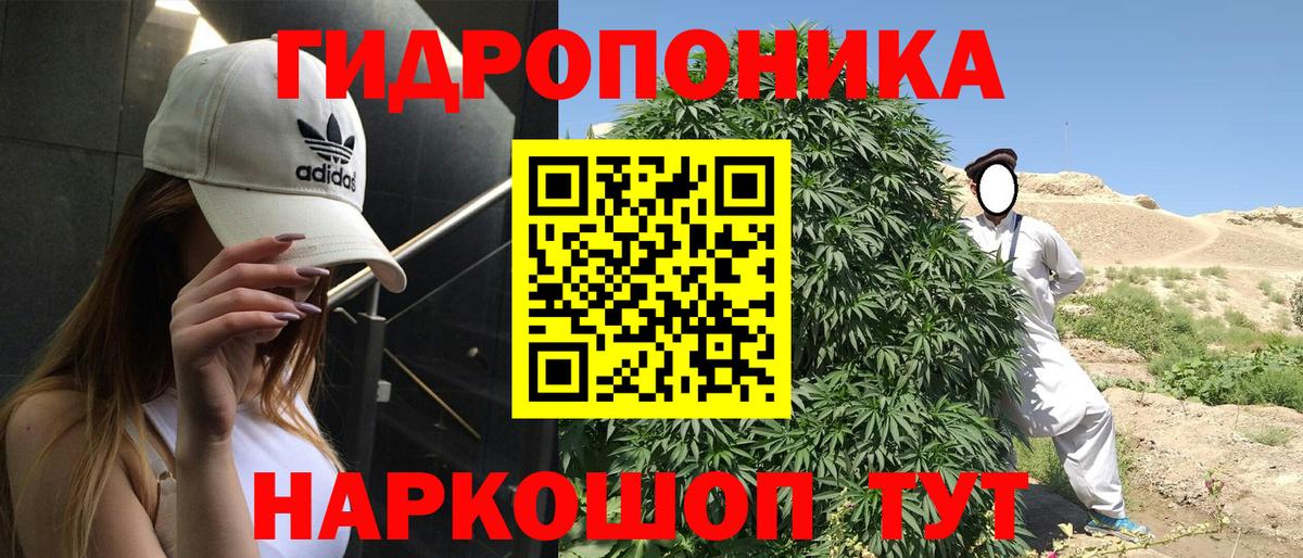 Марихуана сатива Сосновоборск